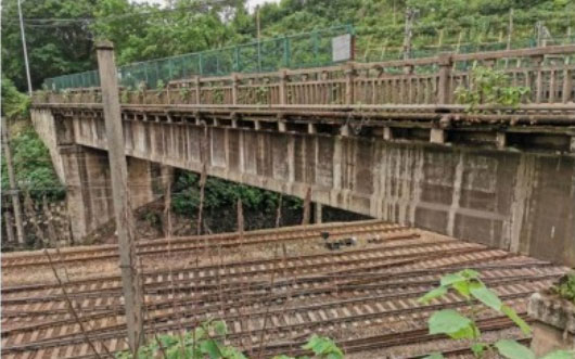 株洲夾子沖3#橋、株洲時代大道既有跨線人行天橋檢測項目